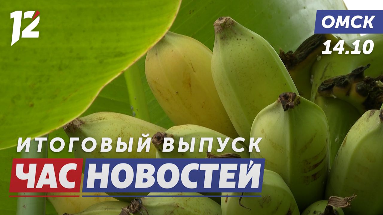 Бананы в Сибири / Агрессивные собаки / Платные парковки. Новости Омска