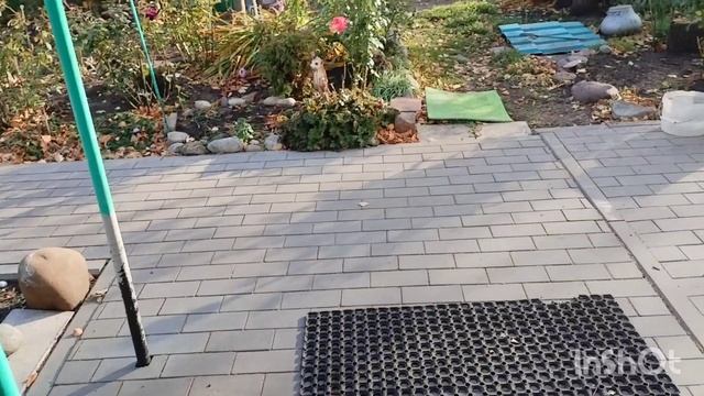 13/10 /2026 /житейские дела/как живут в русской деревне..