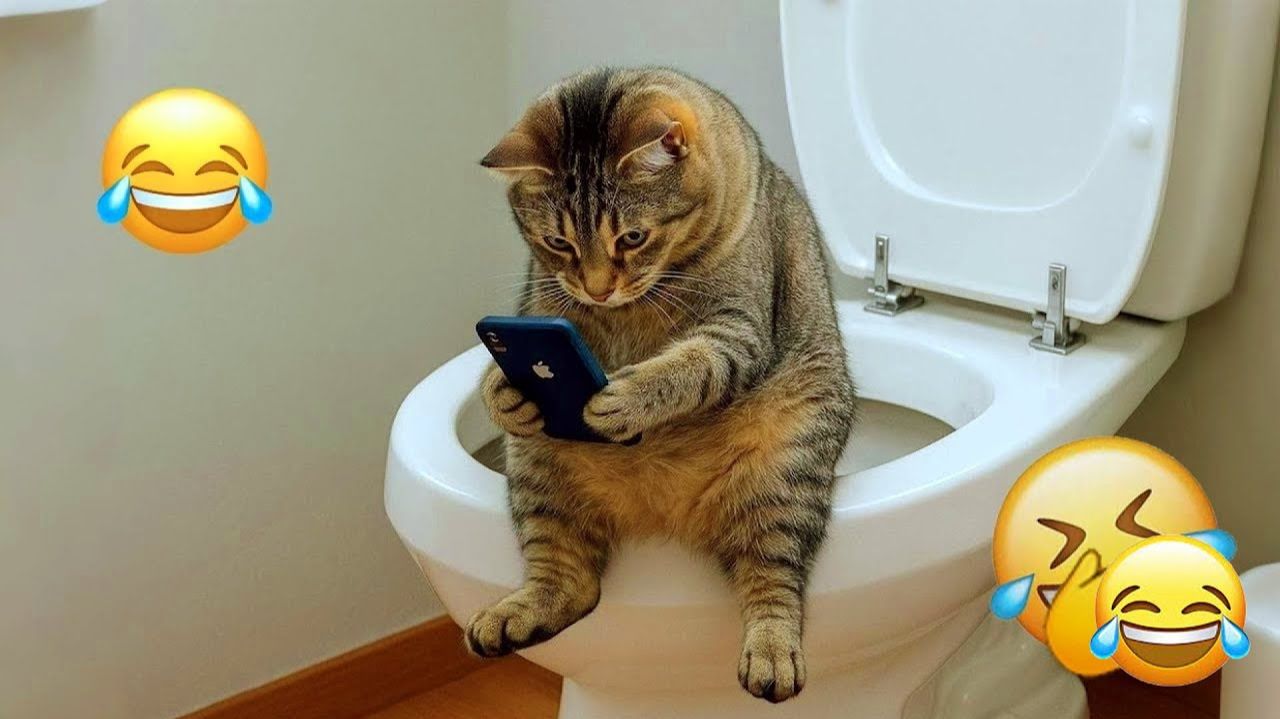 Смешные котики и не только 🤣 Приколы с животными подборка