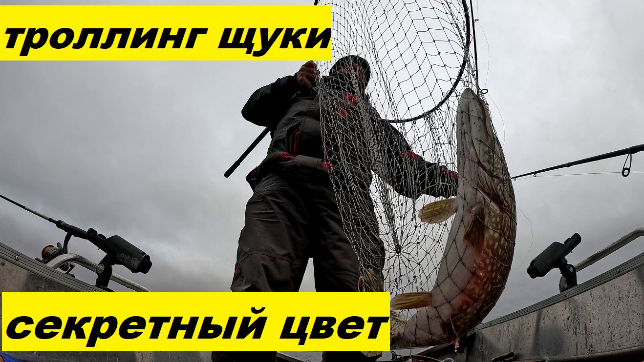 Троллинг щуки. Секретный цвет для осени.