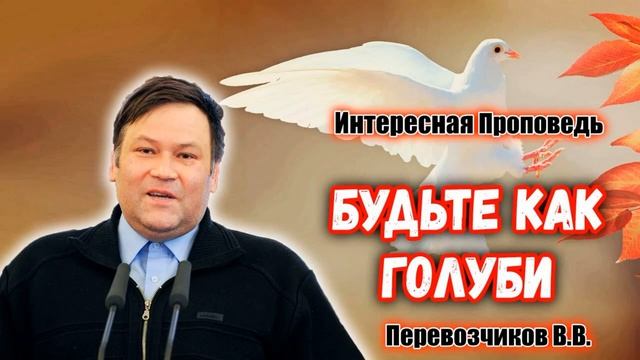 Будьте как голуби. 🙏♥️ Проповедь МСЦ ЕХБ