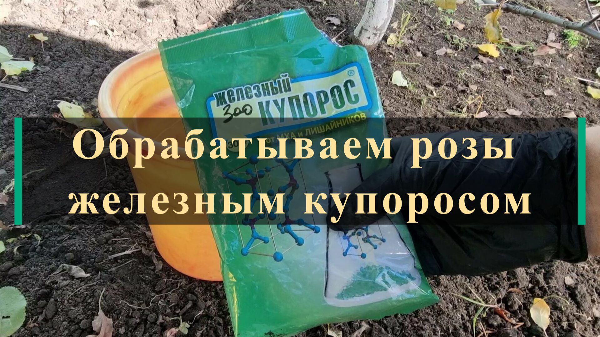 Кормление и обработка роз