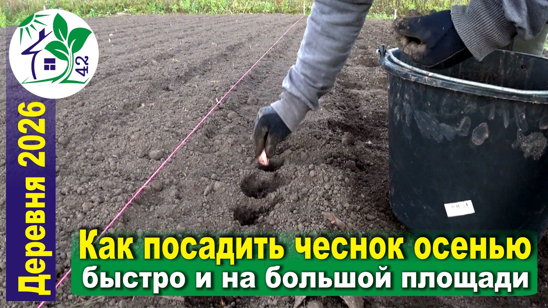 Дача и около