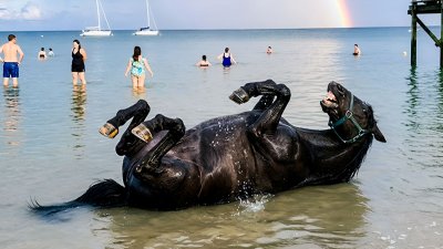 Обзоры изобретений и новости технологий