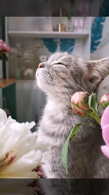 Милый шерстяной романтик ❤️