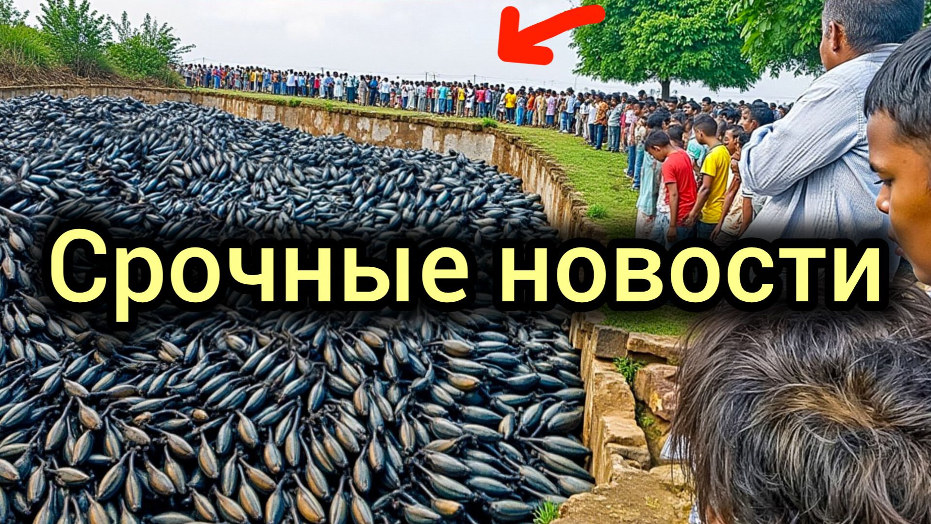 14-10-2026. ЧП.s.КАТАКЛИЗМЫ❗КАТАСТРОФЫ‼️ПРОИСШЕСТВИЯ ЗА ДЕНЬ.новости дня.СЕГОДНЯ.Россия США Китай
