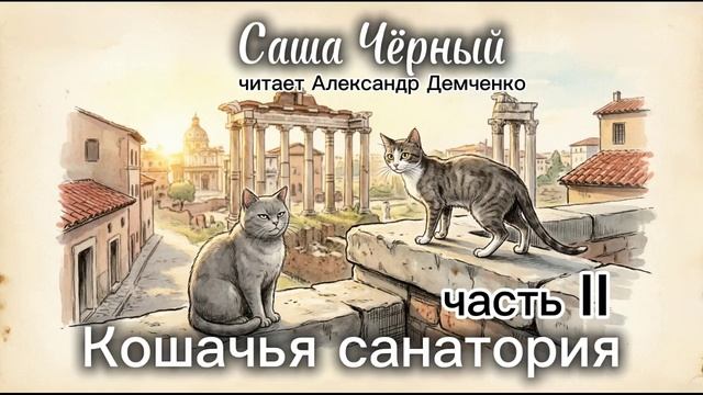 Кошачья санатория (часть II)