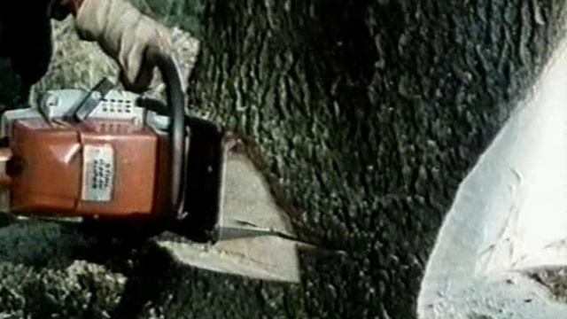 Stihl