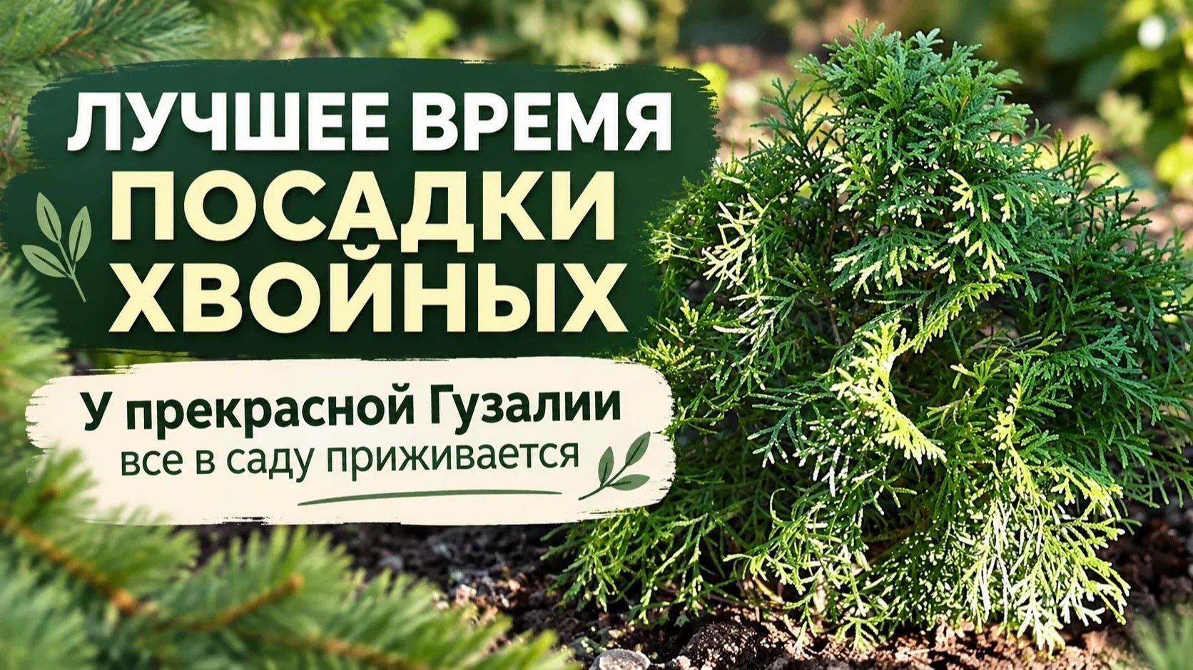 Красивый сад и аптека