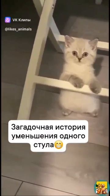 уменьшение одного стула