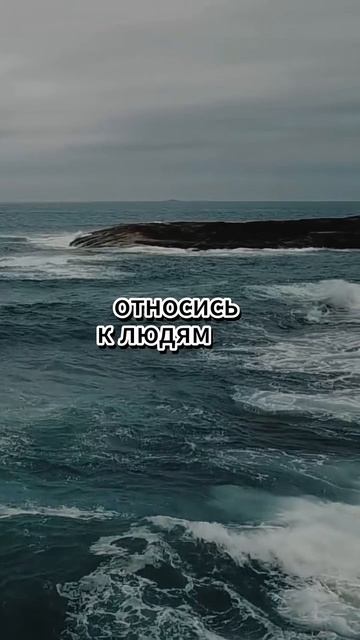 МУДРЫЙ СОВЕТ.