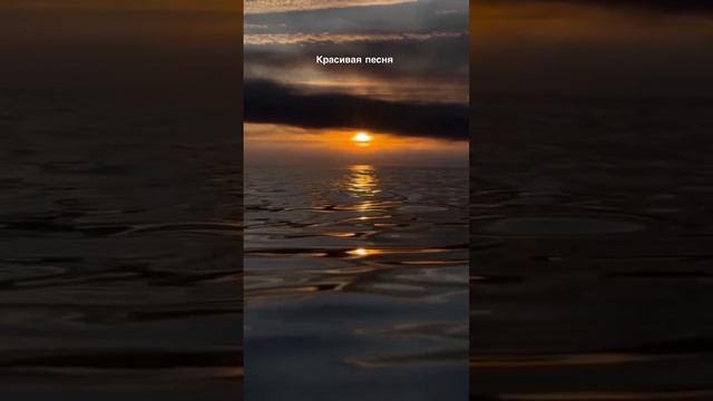 Камиль - Научись ни о чем не жалеть »