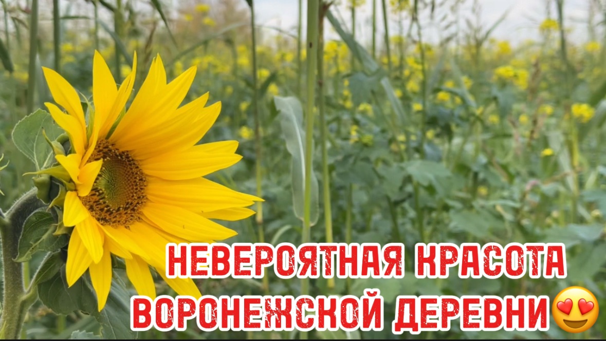 СДЕЛАЛА НА КУХНЕ ТО, ЧТО ДАВНО ХОТЕЛА 🥰// распаковка подарка из Испании 🥹😍