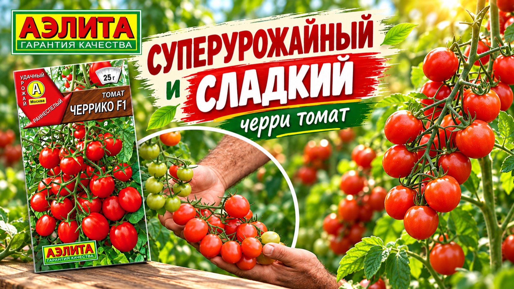 СУПЕРУРОЖАЙНЫЙ и СЛАДКИЙ томат ЧЕРРИКО F1