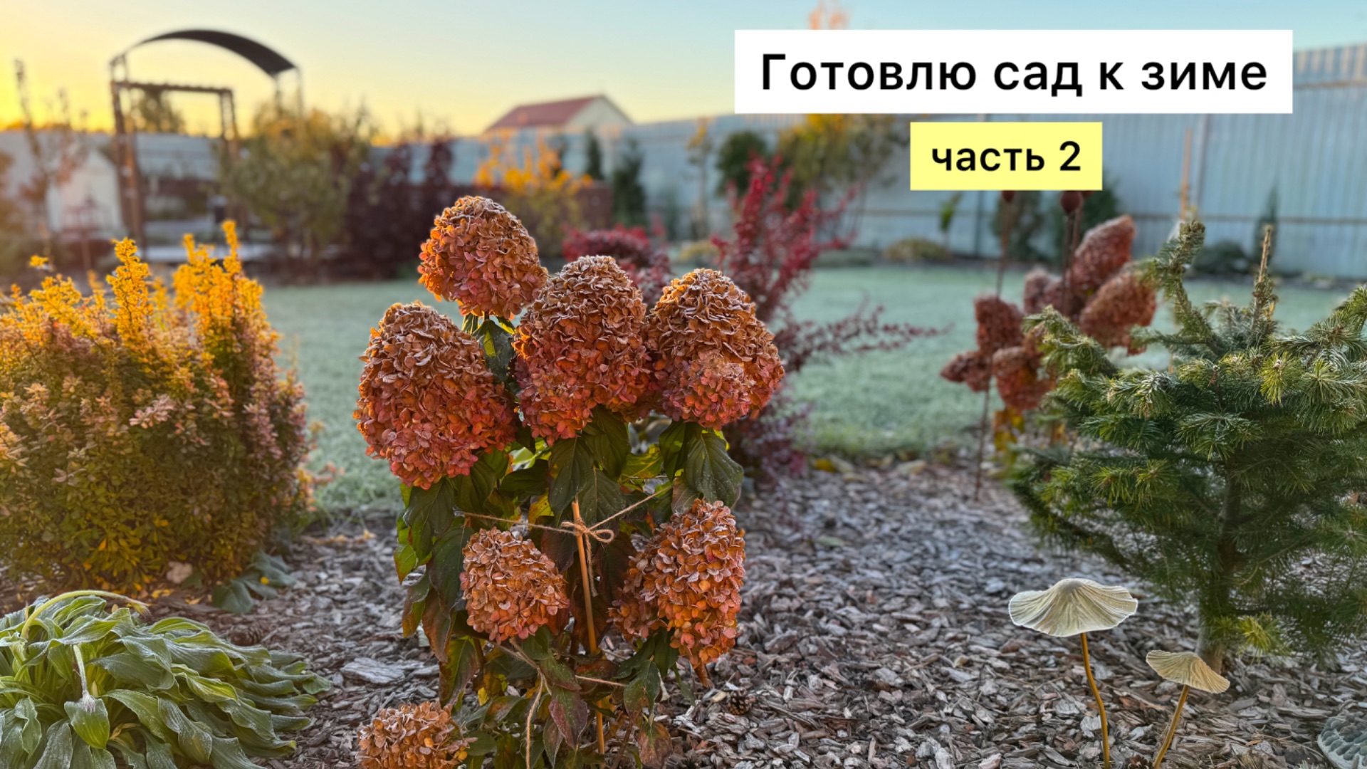 Рабочий влог