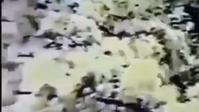 МОИМ ДРУЗЬЯМ.