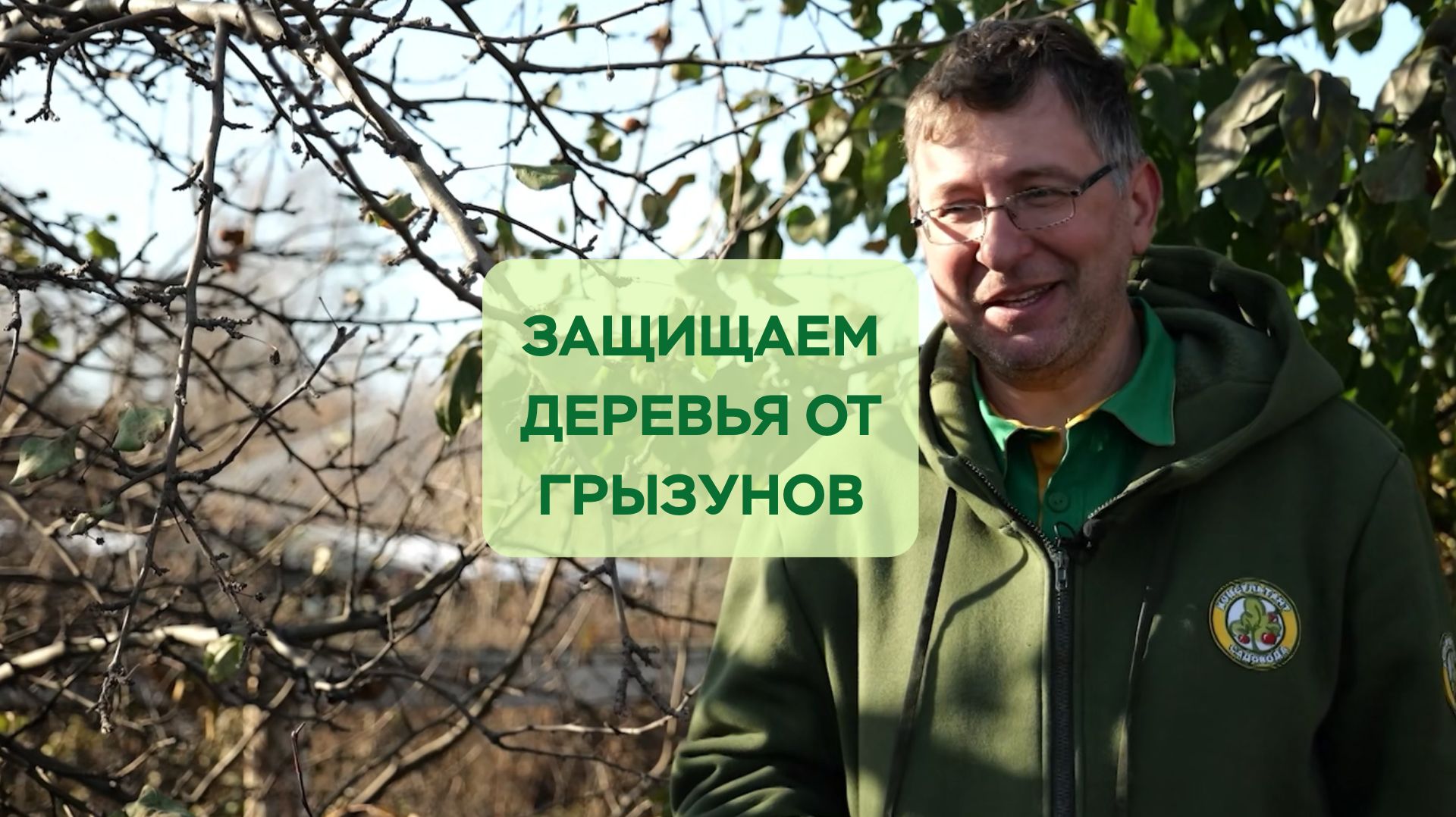 Защита растений