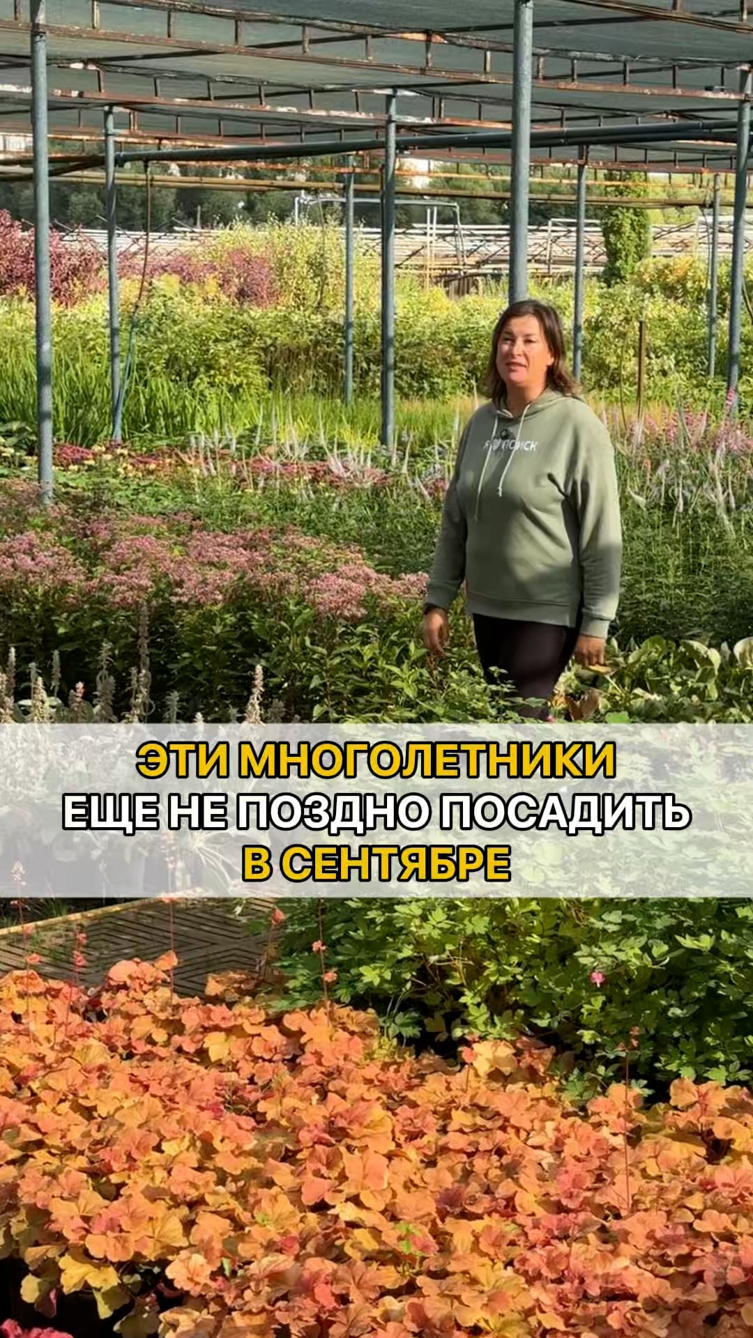 Выращивание цветов