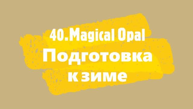 Крупнолистные гортензии