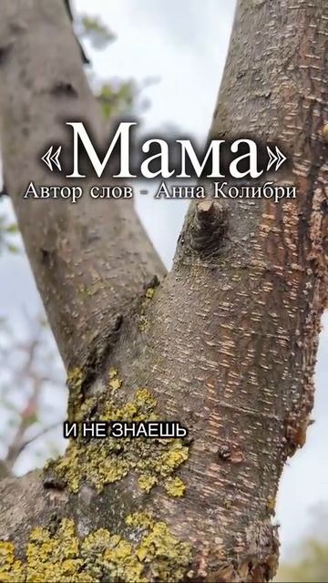 МАМА. ( сл. А. Колибре)