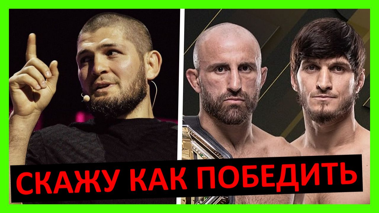 Прогноз на бой