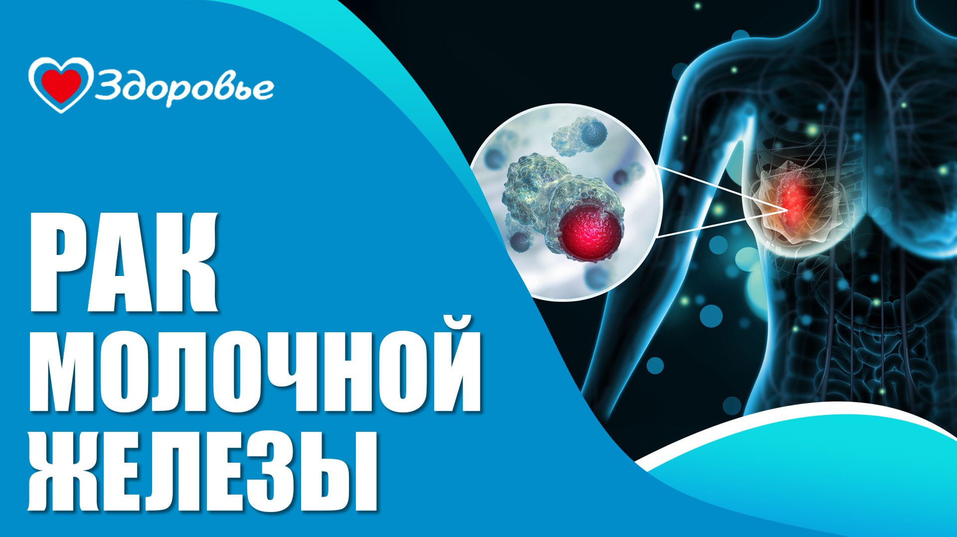 Здоровье
