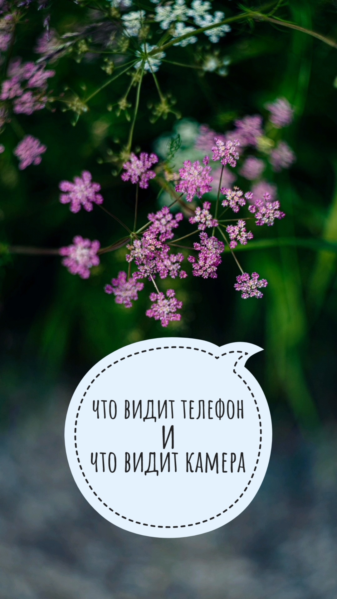 разный взгляд 📱📸
