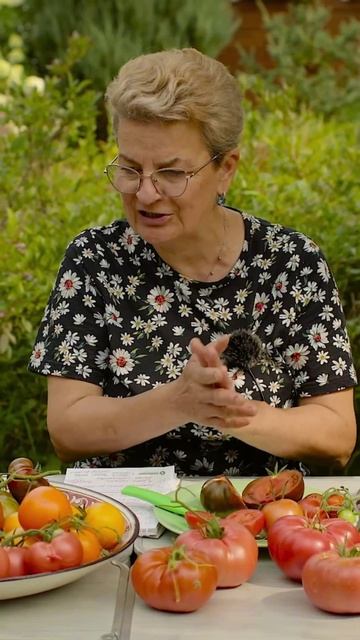Супер скороспелый томат САНЬКА 🍅