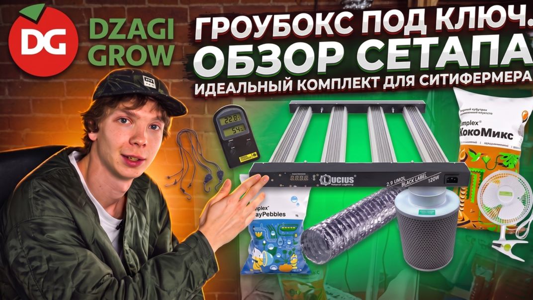 Обзоры