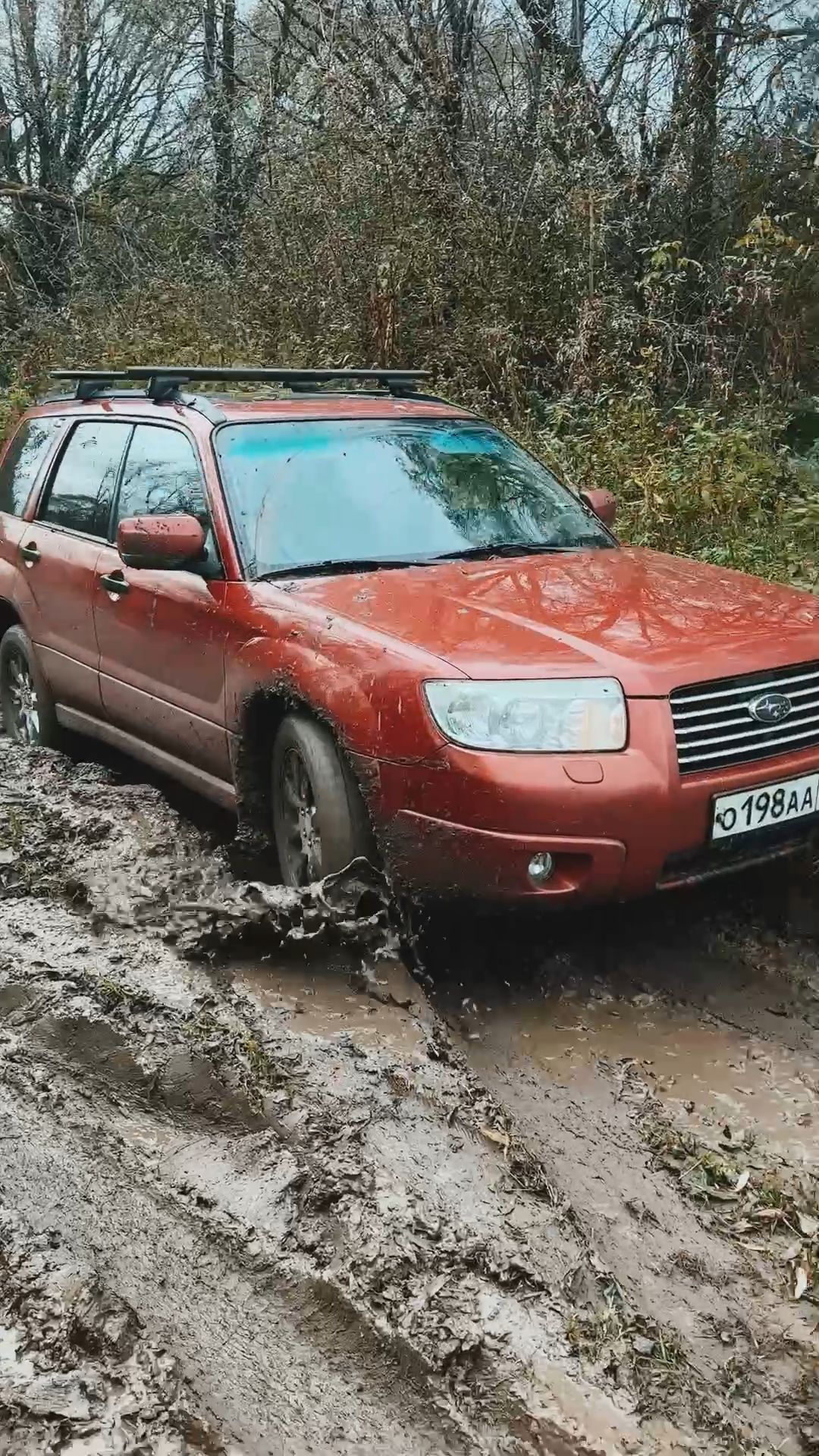 SUBARU FORESTER - один из самых проходимых кроссоверов!
