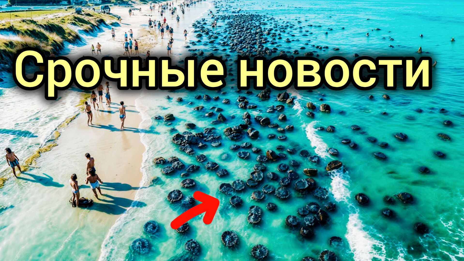 16-10-2026. ЧП.nd.КАТАКЛИЗМЫ❗КАТАСТРОФЫ‼️ПРОИСШЕСТВИЯ ЗА ДЕНЬ.4.39.новости дня.СЕГОДНЯ.Россия США