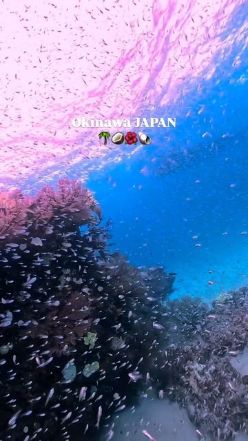 Окинава, Япония 🇯🇵