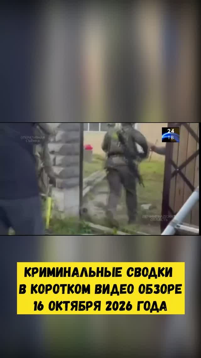 Криминальные сводки в коротком видео обзоре от 16 октября 2026 года