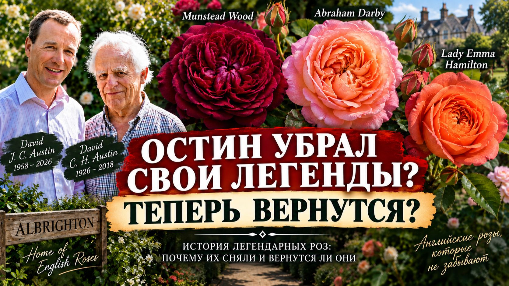 Дэвид Остин: почему исчезают легендарные розы? Вернутся ли старые сорта?