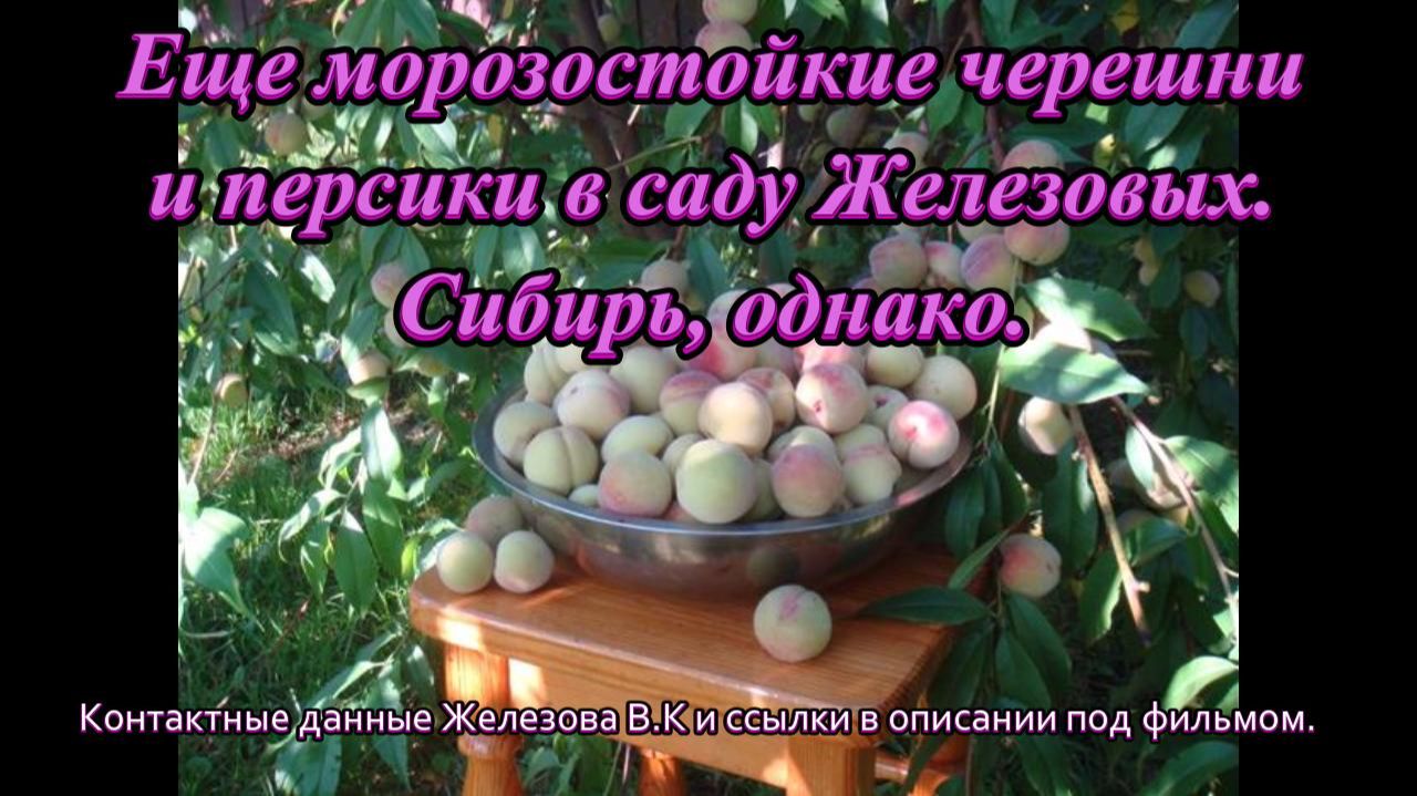 Сад Железовых.