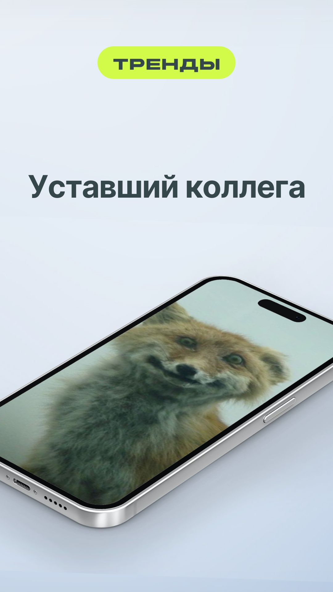 Уставший коллега