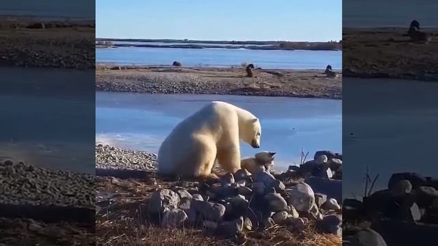 ЮМОР!