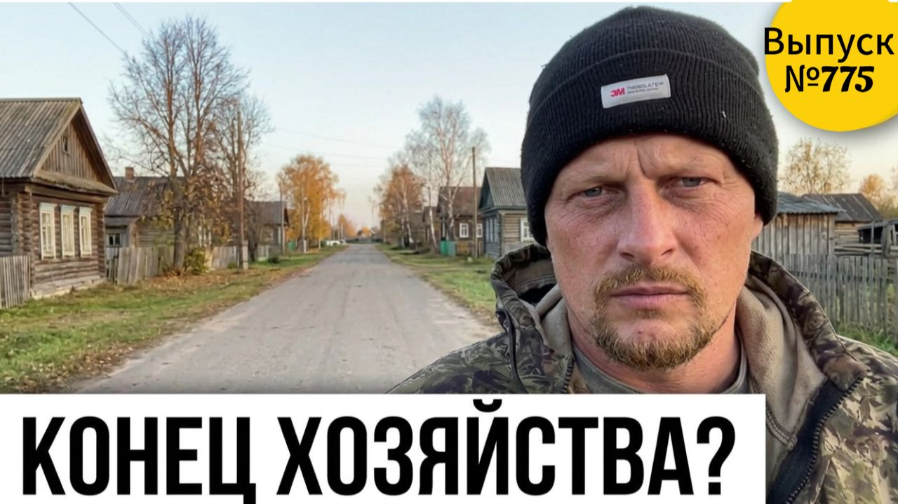 Что на самом деле происходит в  деревне? Почему все бросают хозяйство и уезжают?