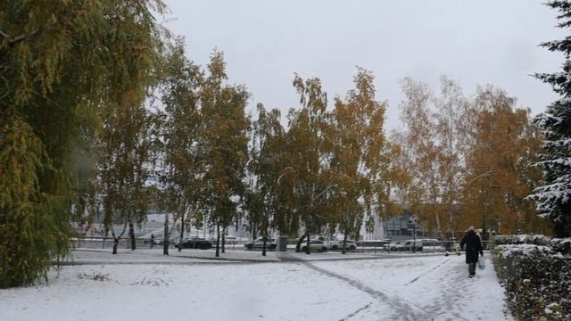 Природа Кемерово - Кузбасса