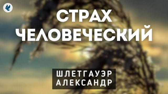 Страх человеческий ♥️🙏 Проповедь МСЦ ЕХБ