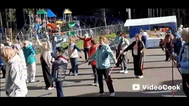 Проект Ивановской региональной организации Всероссийской общественной организации ветеранов «Территория здоровья плюс» .