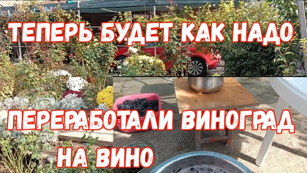 380🌹Теперь будет как надо/Урожай яблок/Пересадили Розы/Переработали виноград на вино