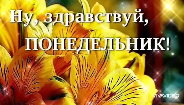 *** ЗДРАВСТВУЙ, ПОНЕДЕЛЬНИК *** ДОБРОГО ОСЕННЕГО УТРА ***
