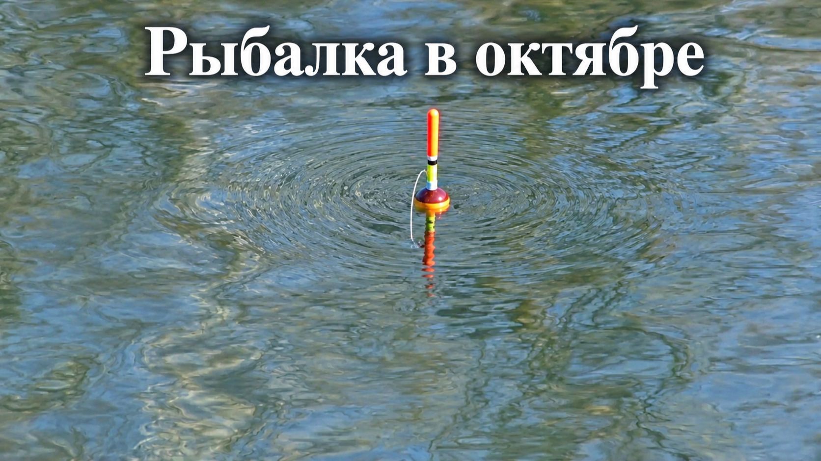Рыбалка в середине октября на речке на поплавок