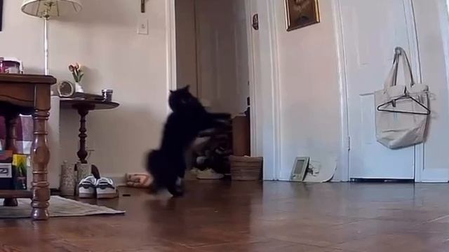 Скрытая камера зафиксировала паранормальное явление, природу которого установить так и не удалось 😄