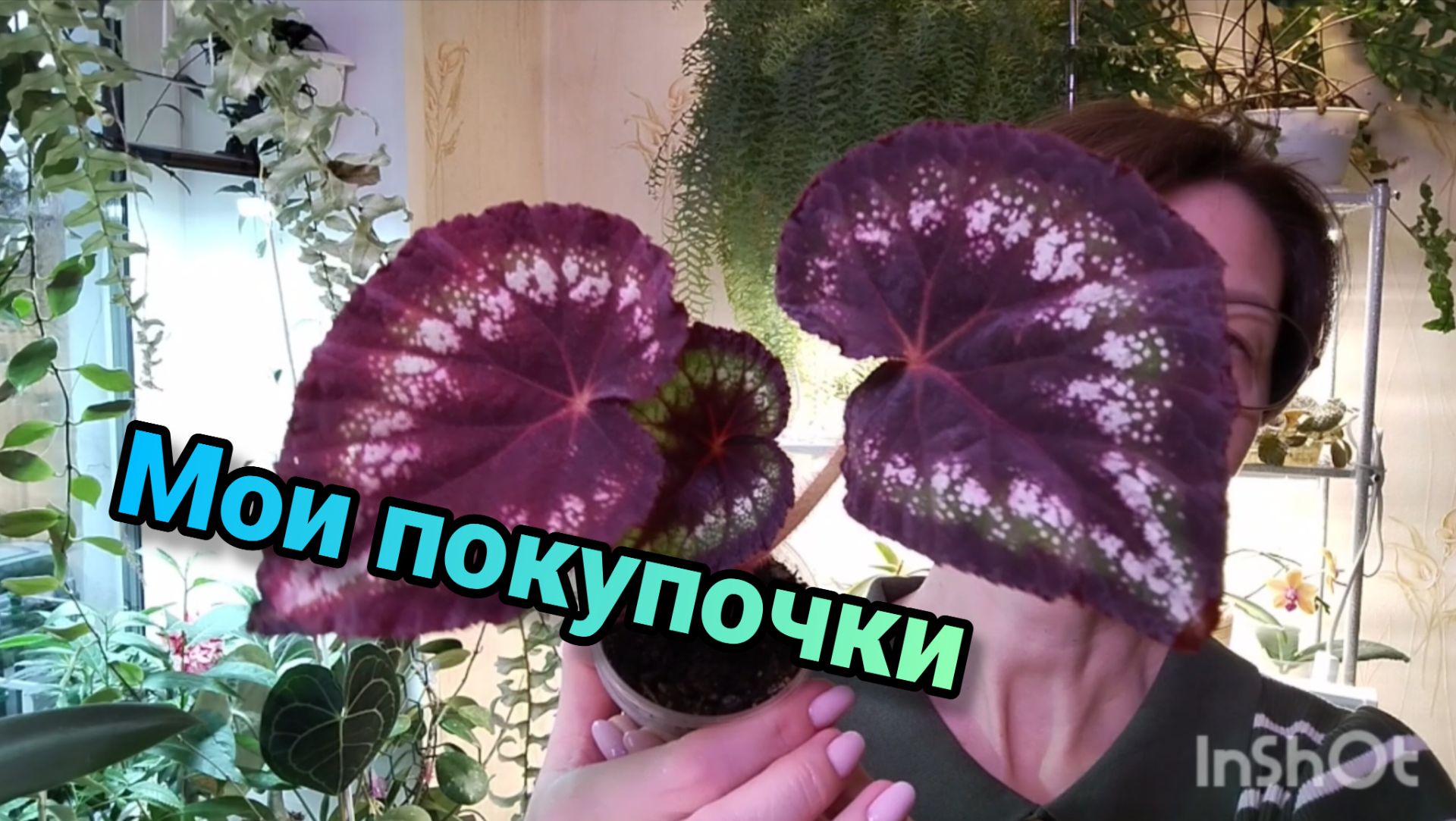 Другие мои цветы