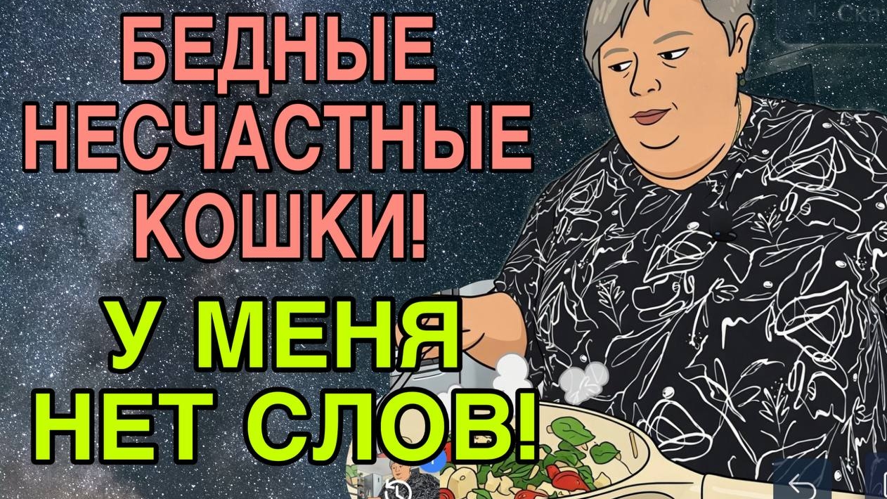 БЕДНЫЕ КОШКИ. ОЛЬГА УРАЛОЧКА LIVE.