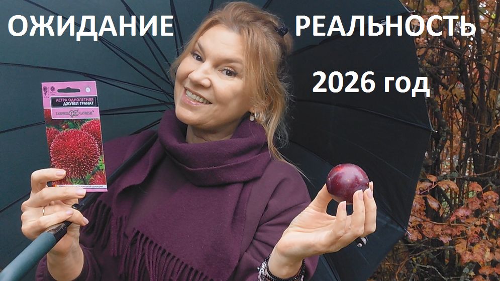 Ожидание - реальность 2026