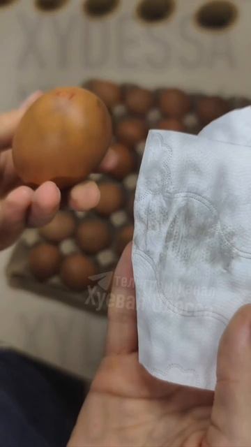 � �������� ������������� ��������� ������� ����