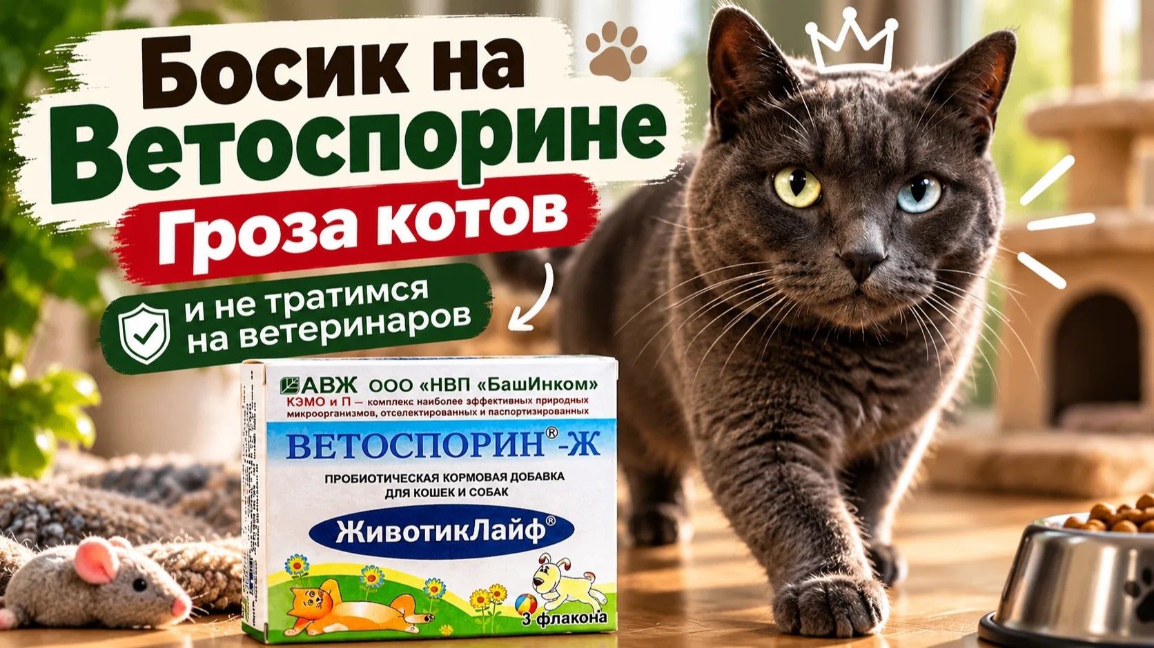 Подворье и домашние питомцы